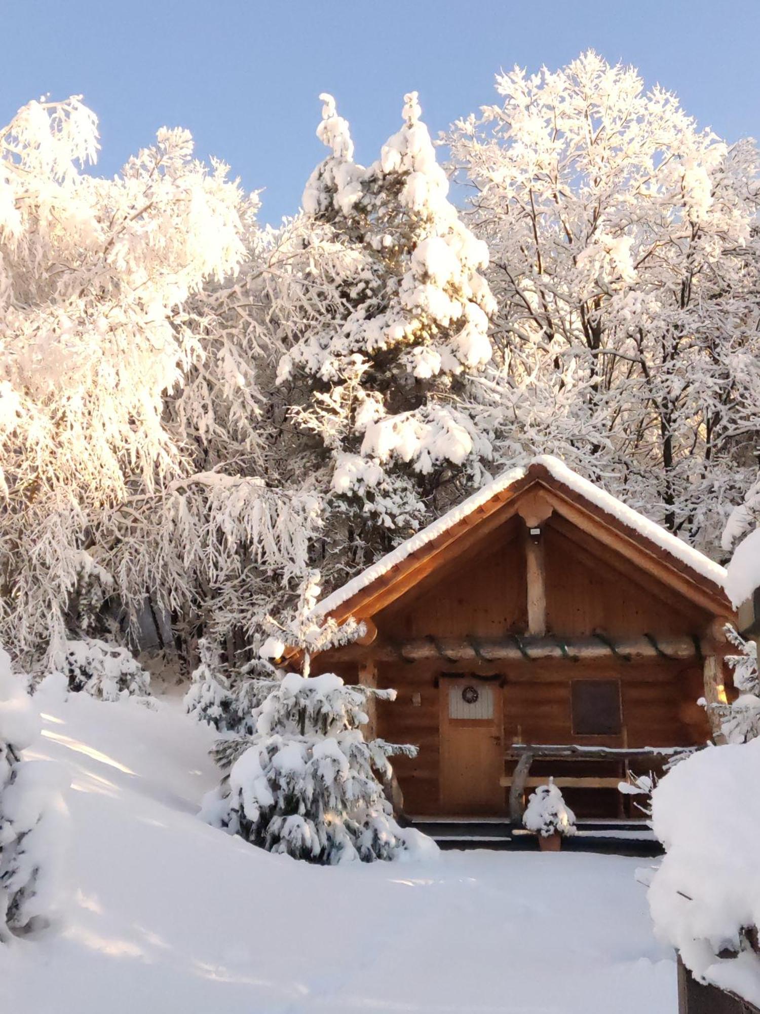 Hut At The Forest Male Brusnice Luaran gambar